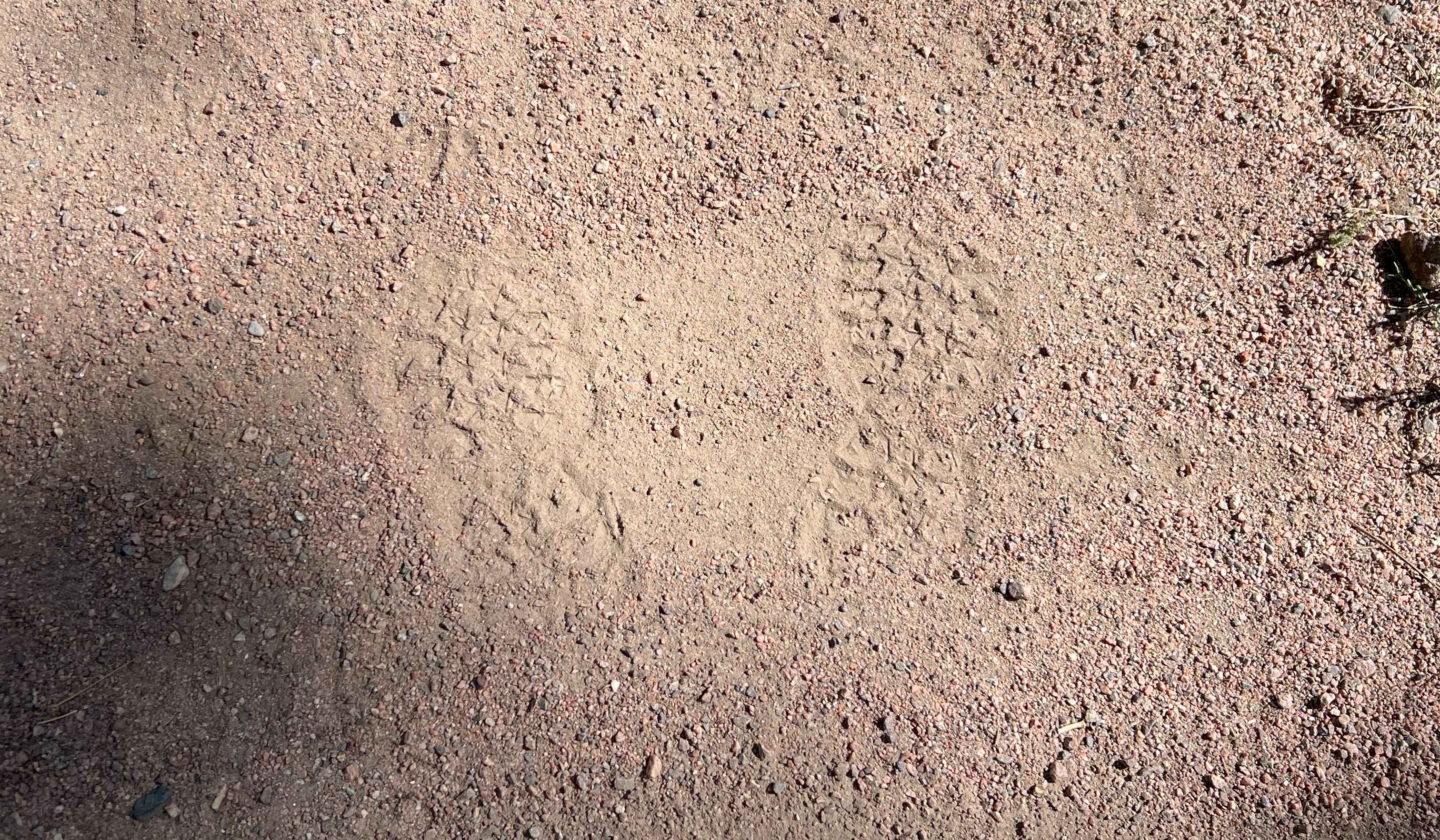 Outline of boot print in the dirt