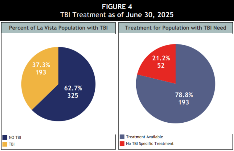 Pie graph TBI treatment percentages