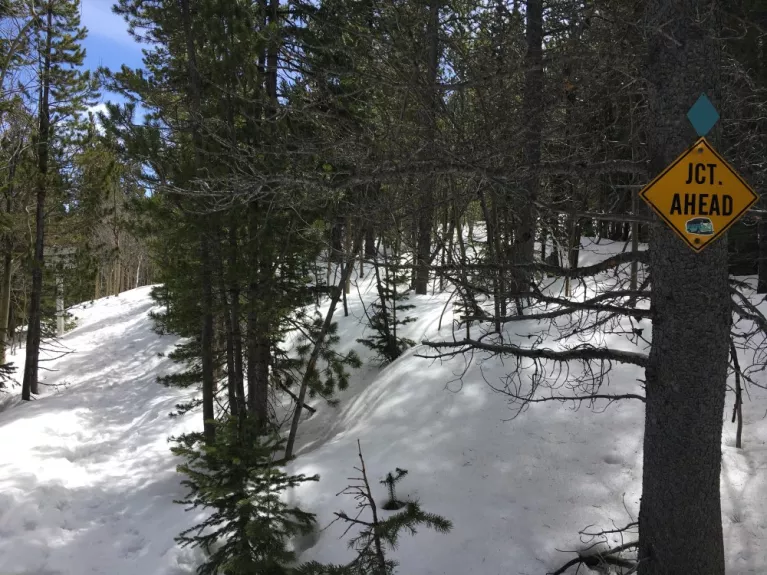 Snowy trail